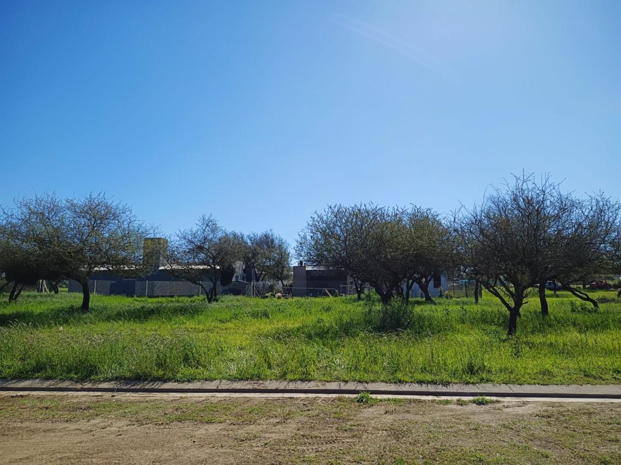 Foto de VENDO LOTE 1.223 m² - BELA VISTA, imagen 1