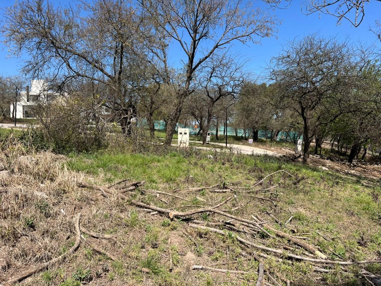 Foto de lote en venta Maitenes de la Deseada. Excelente oportunidad, imagen 5