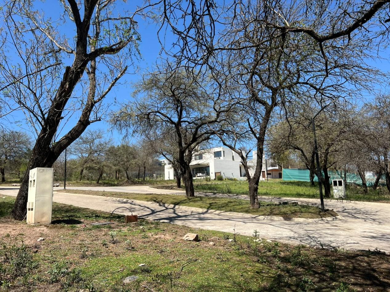 Foto de lote en venta Maitenes de la Deseada. Excelente oportunidad, imagen 2