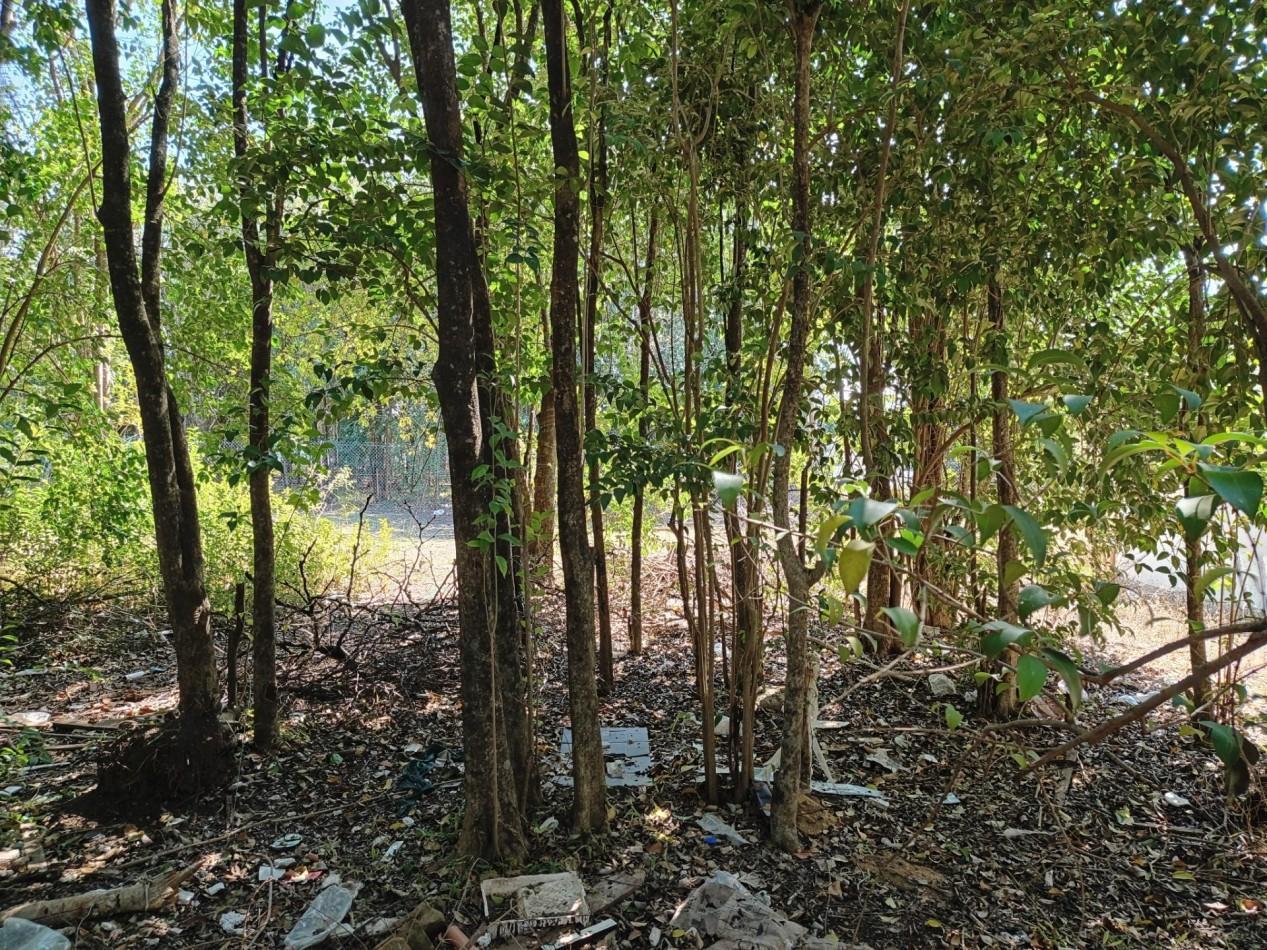 Foto de VENDO LOTE 300 M2 VILLA CATALINA ETAPA CAMPOS VERDES, imagen 5