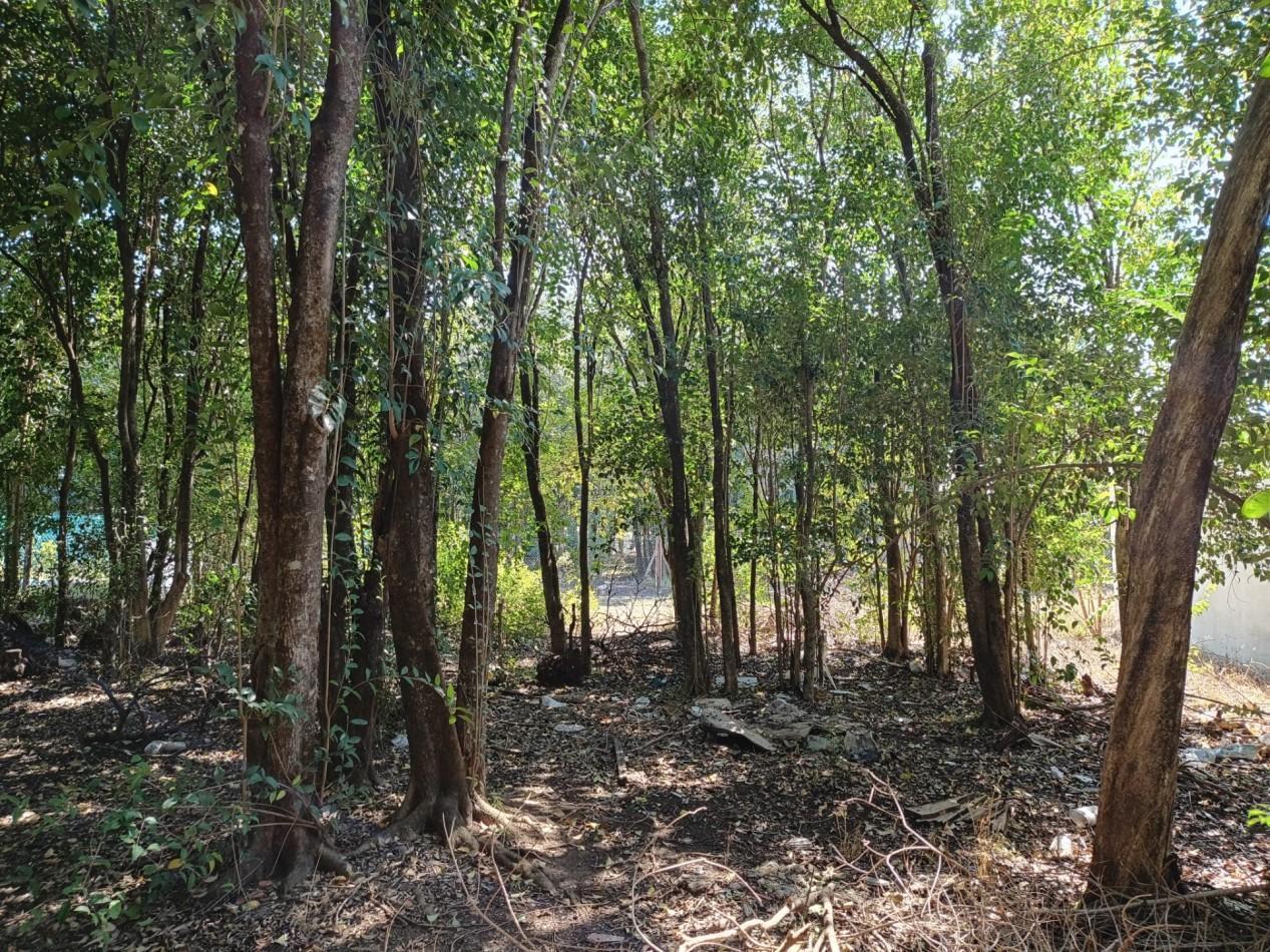 Foto de VENDO LOTE 300 M2 VILLA CATALINA ETAPA CAMPOS VERDES, imagen 4