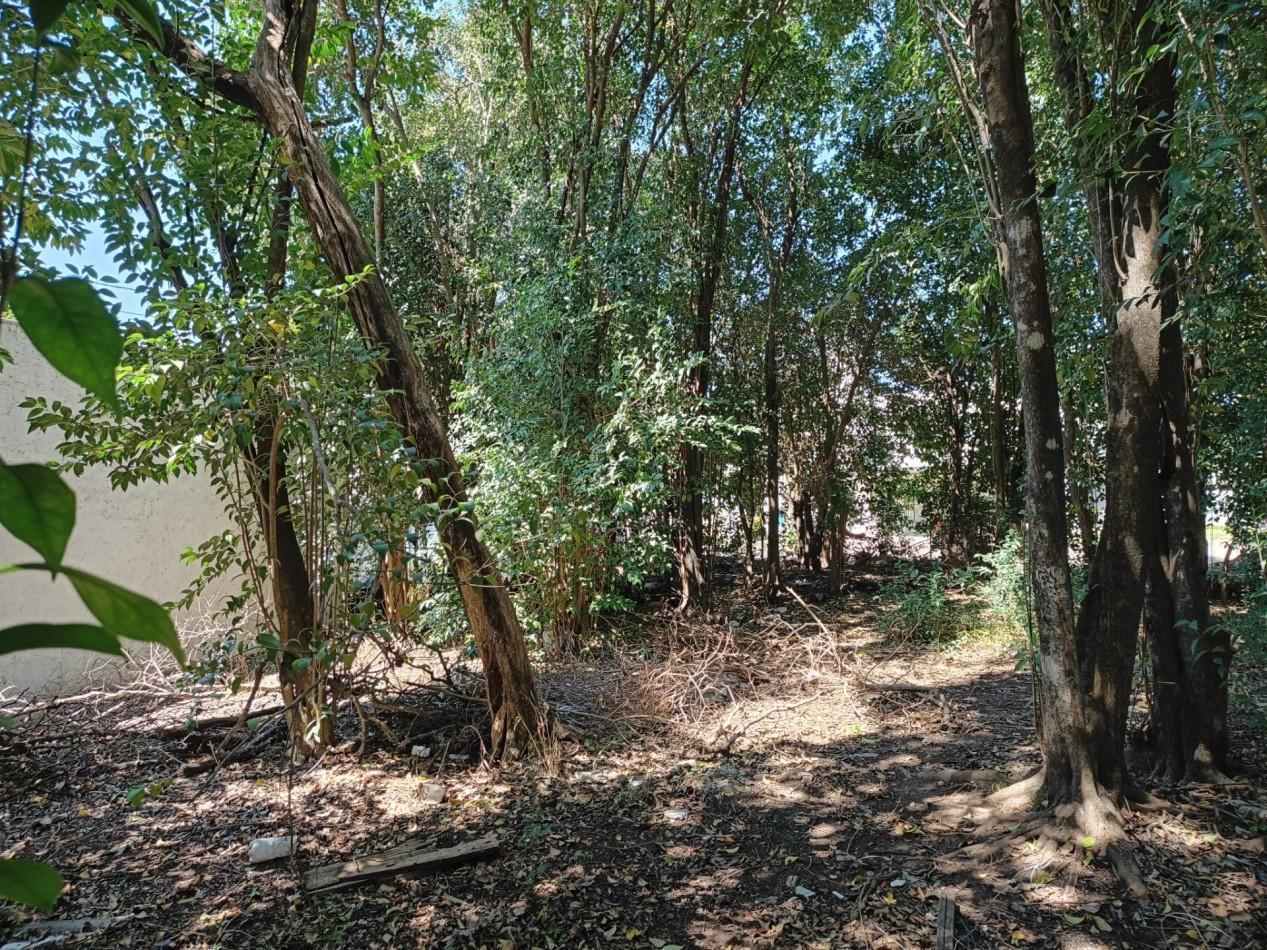 Foto de VENDO LOTE 300 M2 VILLA CATALINA ETAPA CAMPOS VERDES, imagen 2