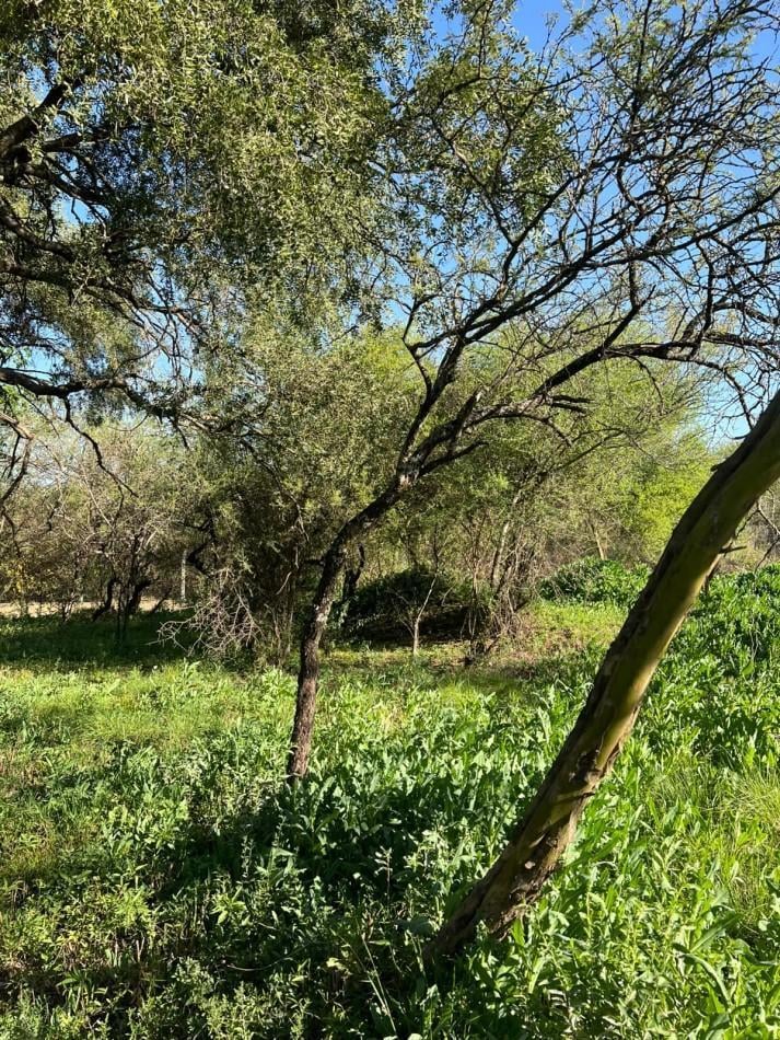 Foto de LOTE EN VENTA AYRES DEL NORDESTE. 476 M2. OPORTUNIDAD!!!, imagen 5