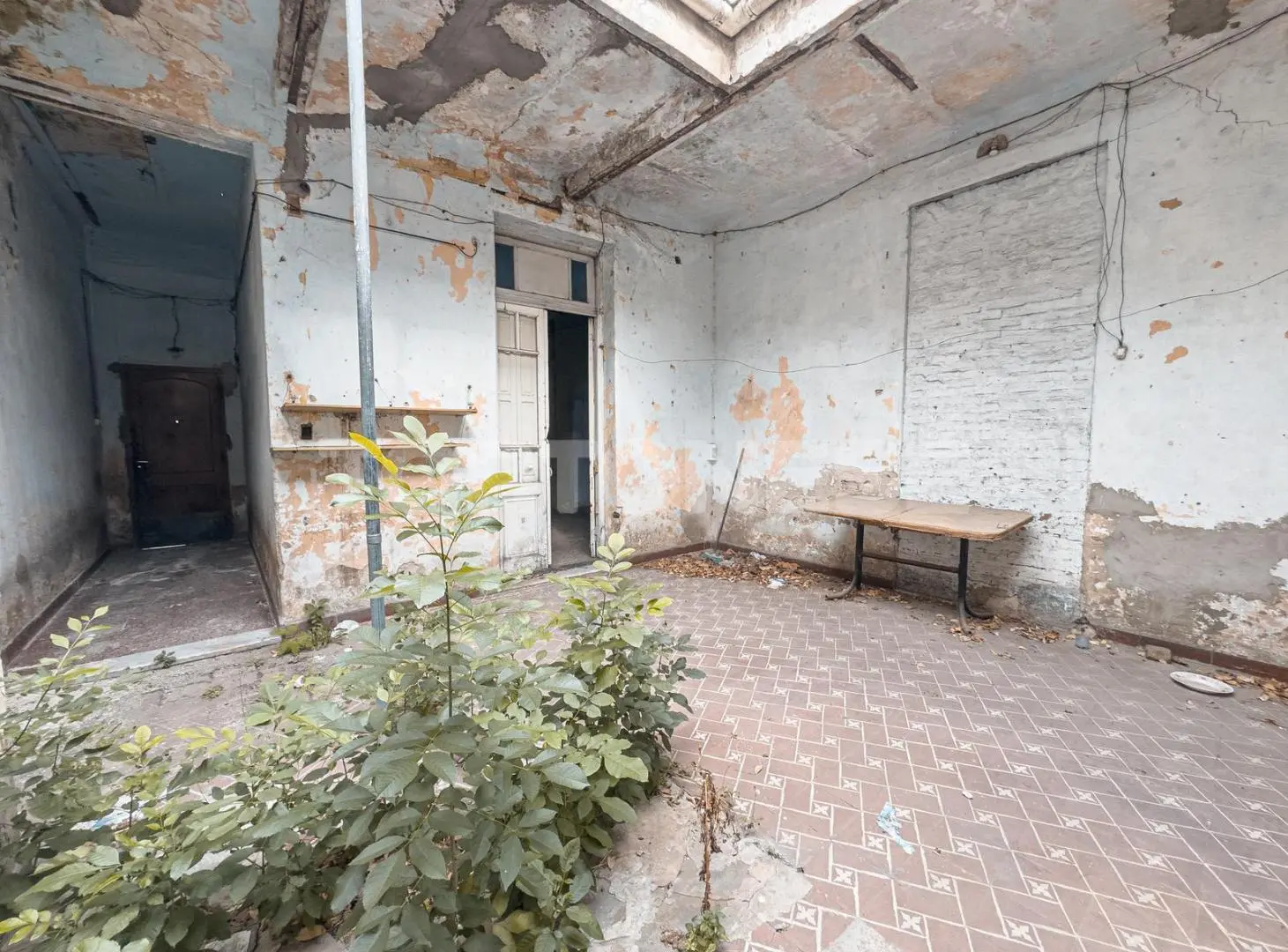 Casa lote propio a reciclar - Av. Roca 1604 2