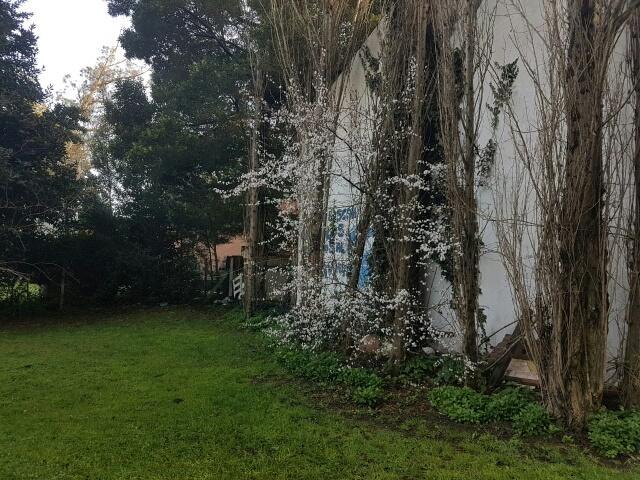 Foto de LOTE UBICADO EN EL BOSQUE PERALTA RAMOS.TODOS LOS SERVICIOS, imagen 3