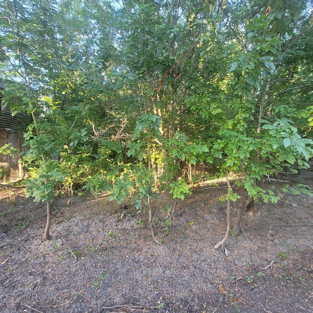 Terreno en Gualeguaychu 5