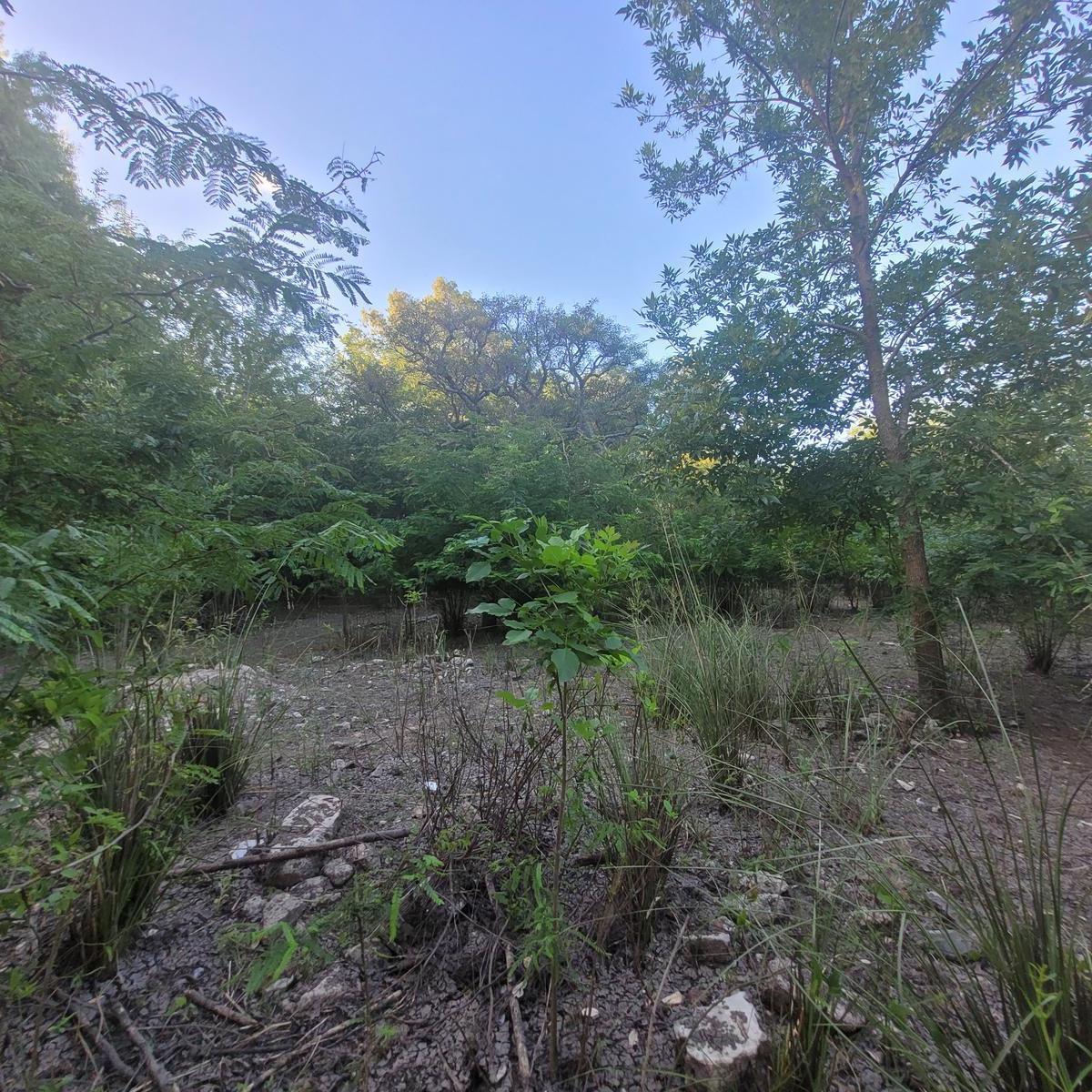 Terreno en Gualeguaychu 4
