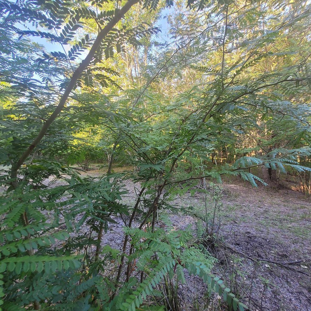 Terreno en Gualeguaychu 2