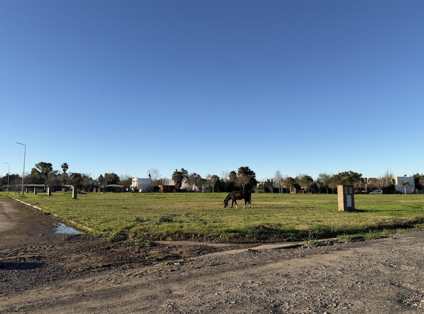 Foto de Venta de Terrenos en Pueblo Esther en el casco urbano, imagen 4