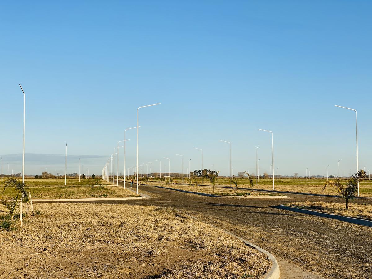 Foto de OPORTUNIDAD VENTA - LOTE 300 M2 ESTANCIA LAS MORAS II RICARDONE, imagen 2