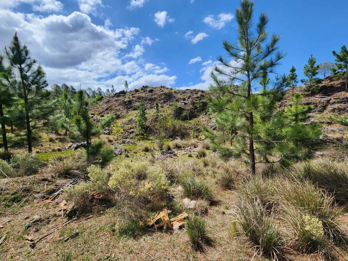 Venta Excelentes Terrenos - El Durazno, Yacanto 2