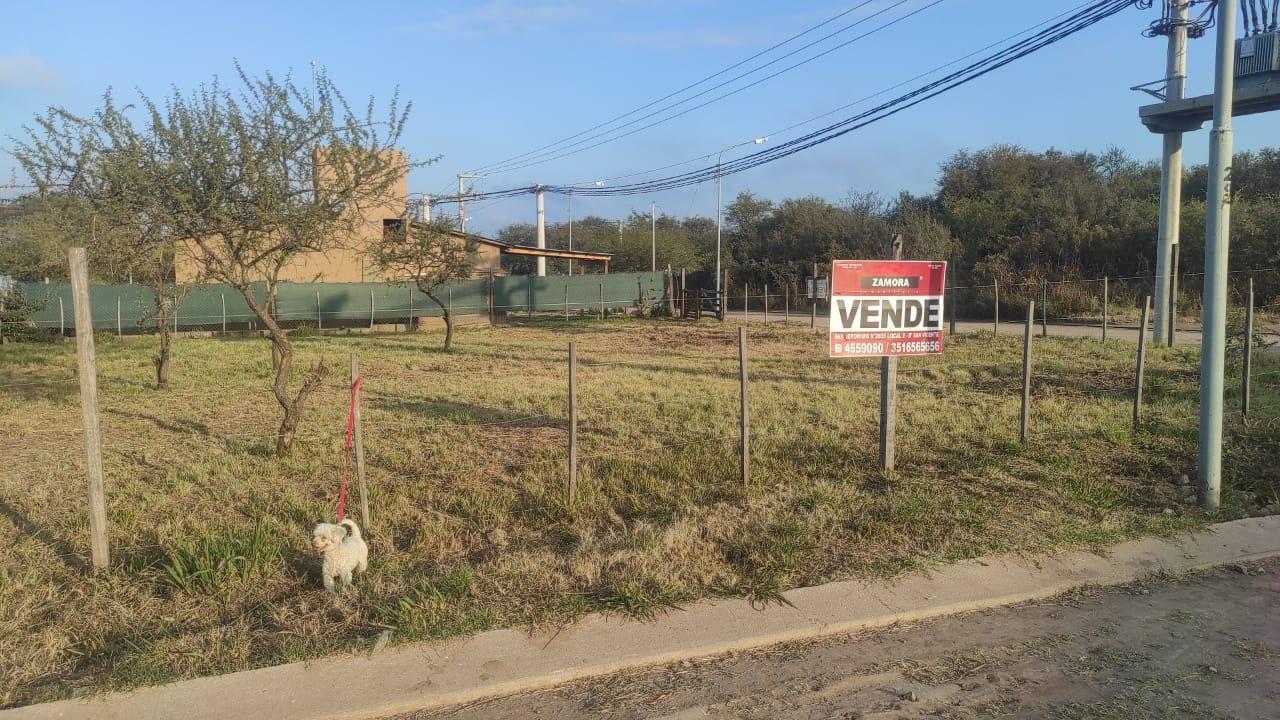 Foto de GRAN LOTE DE TERRENO A LA VENTA EN NUEVO RIO CEBALLOS., imagen 5