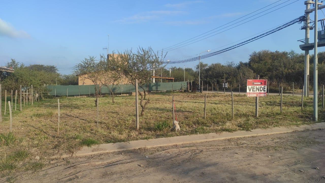 Foto de GRAN LOTE DE TERRENO A LA VENTA EN NUEVO RIO CEBALLOS., imagen 2