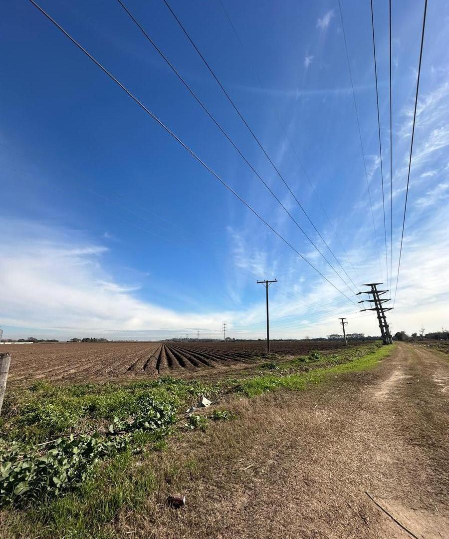 Foto de OPORTUNIDAD CAMPO EN VENTA EN ESTACIÓN FERREYRA, imagen 4