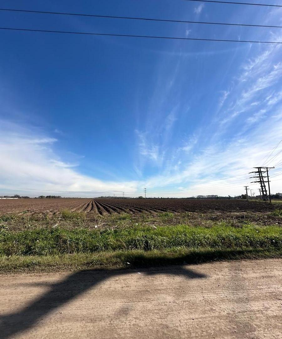 Foto de OPORTUNIDAD CAMPO EN VENTA EN ESTACIÓN FERREYRA, imagen 3