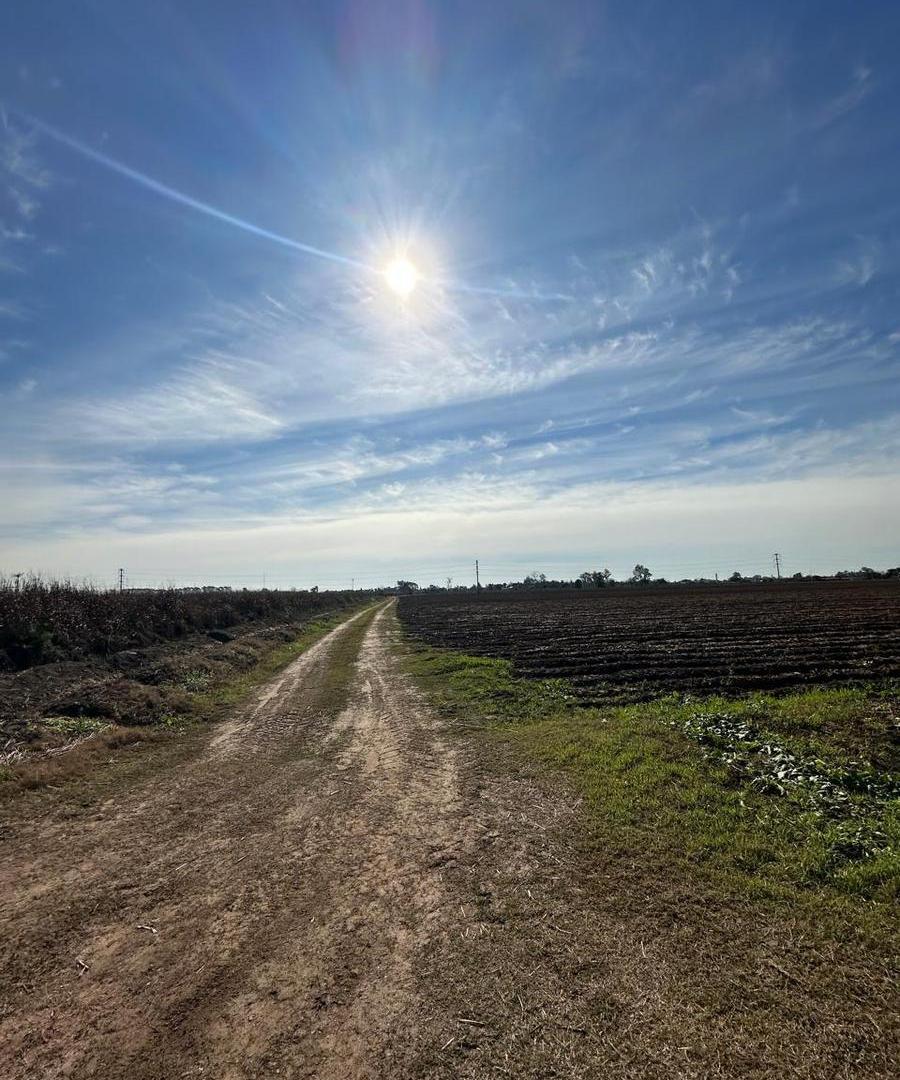 Foto de 9 HECTAREAS EN VENTA EN ESTACION FERREYRA, imagen 5