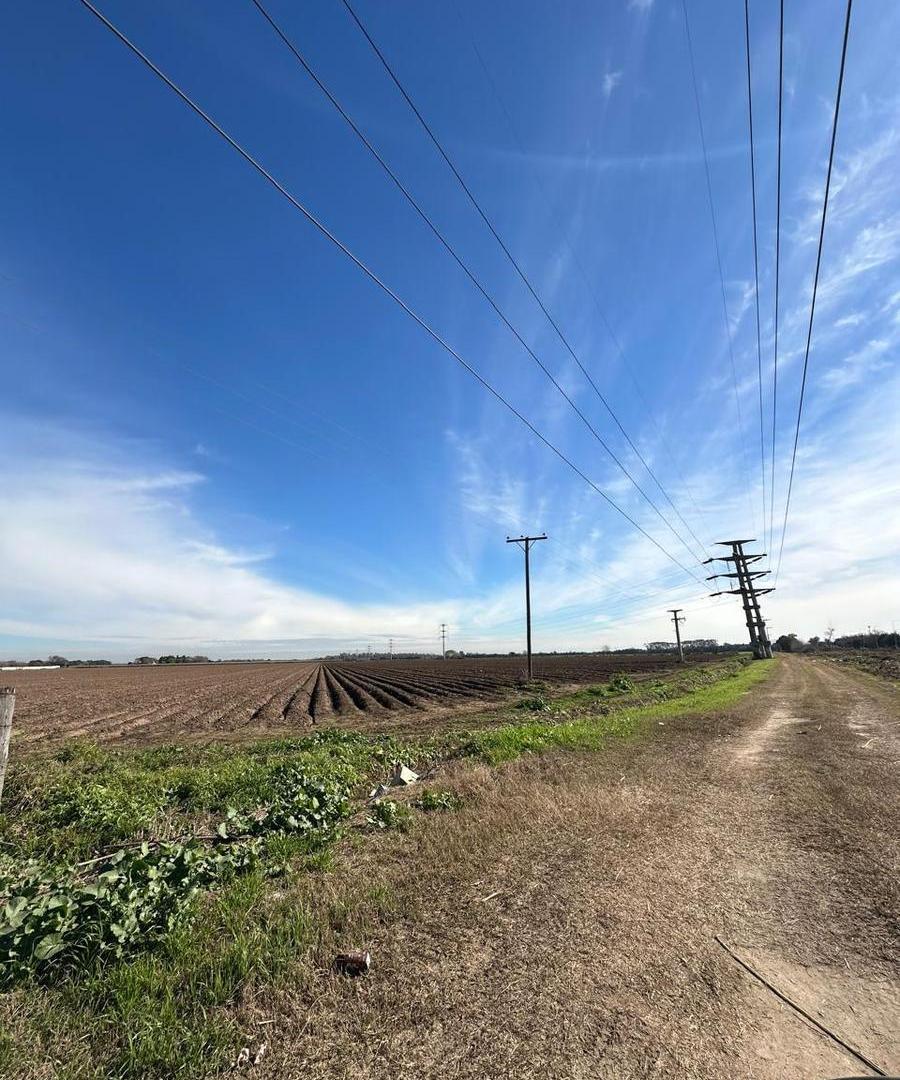 Foto de 9 HECTAREAS EN VENTA EN ESTACION FERREYRA, imagen 1