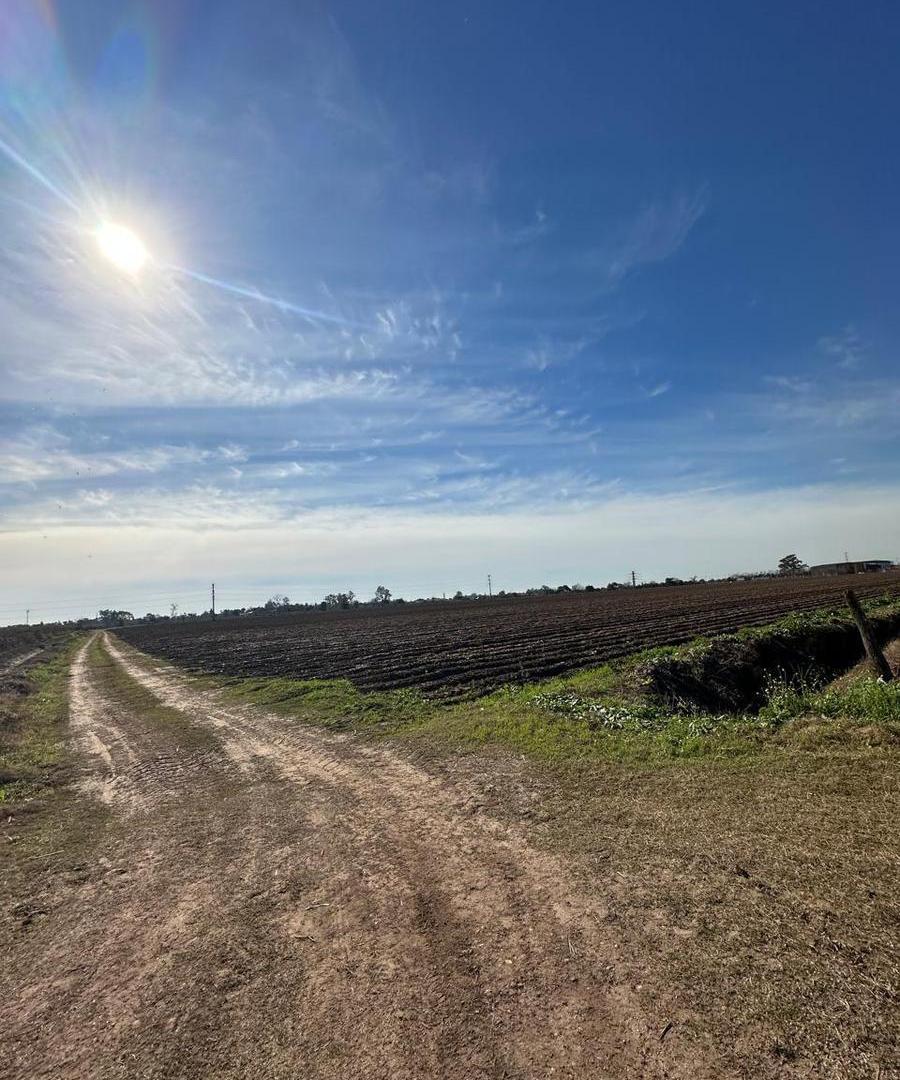 Foto de 40 HECTAREAS EN VENTA EN ESTACION FERREYRA, imagen 1