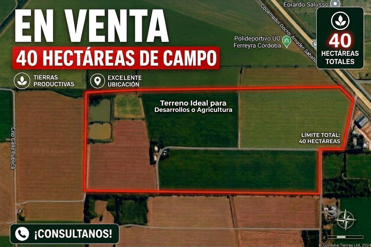 Foto de 40 HECTAREAS EN VENTA EN ESTACION FERREYRA, imagen 5
