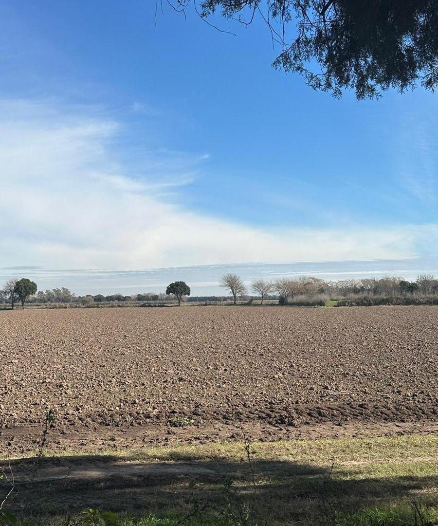 Foto de 9 HECTAREAS EN VENTA EN ESTACION FERREYRA, imagen 2