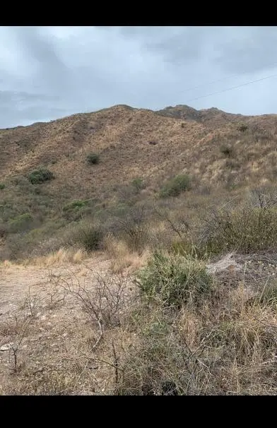 Vendo 82 Has en Cosquín pegado al Pan de Azúcar a 2 km del Centro - mucha Agua 2