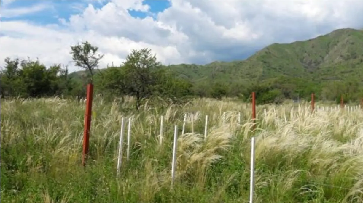 Vendo 82 Has en Cosquín pegado al Pan de Azúcar a 2 km del Centro - mucha Agua 4