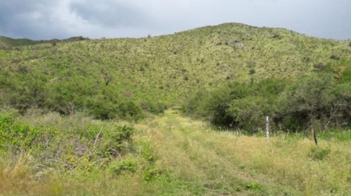 Vendo 82 Has en Cosquín pegado al Pan de Azúcar a 2 km del Centro - mucha Agua