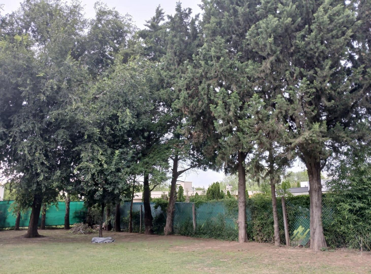 Foto de Casa en Country San Isidro con gran parque y pileta, imagen 4