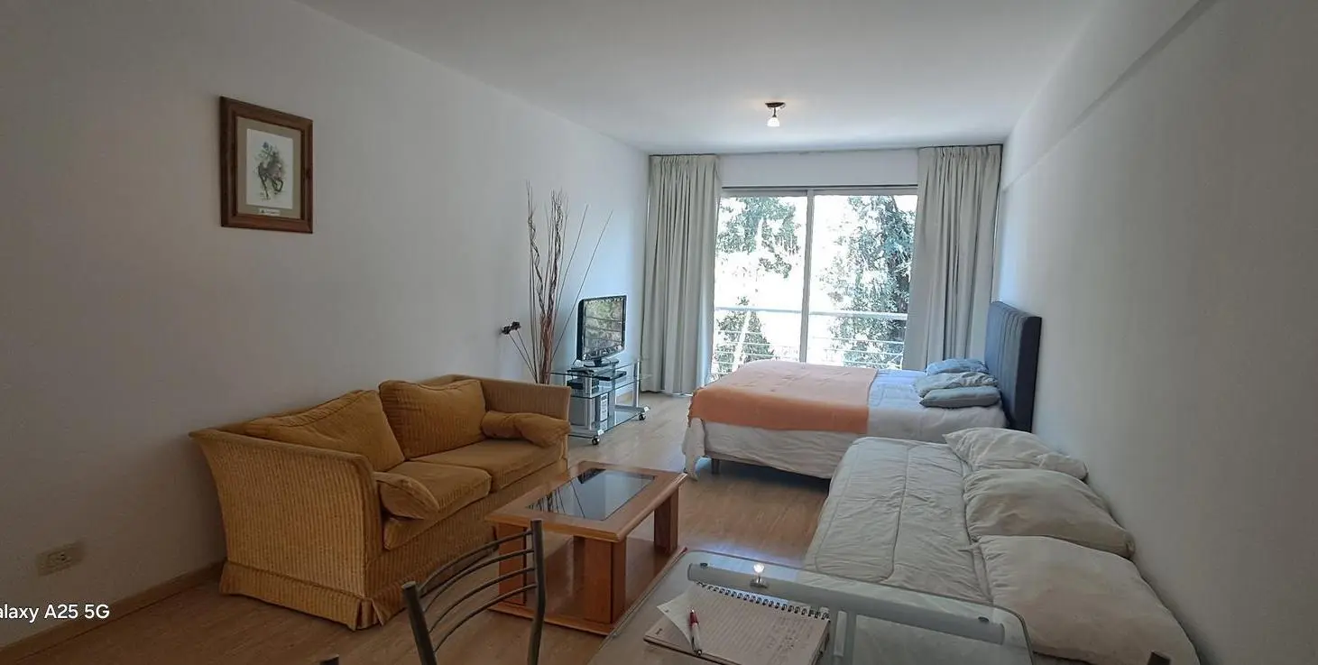 Alquiler de amplio monoambiente amueblado en Edificio Concord Pilar 3
