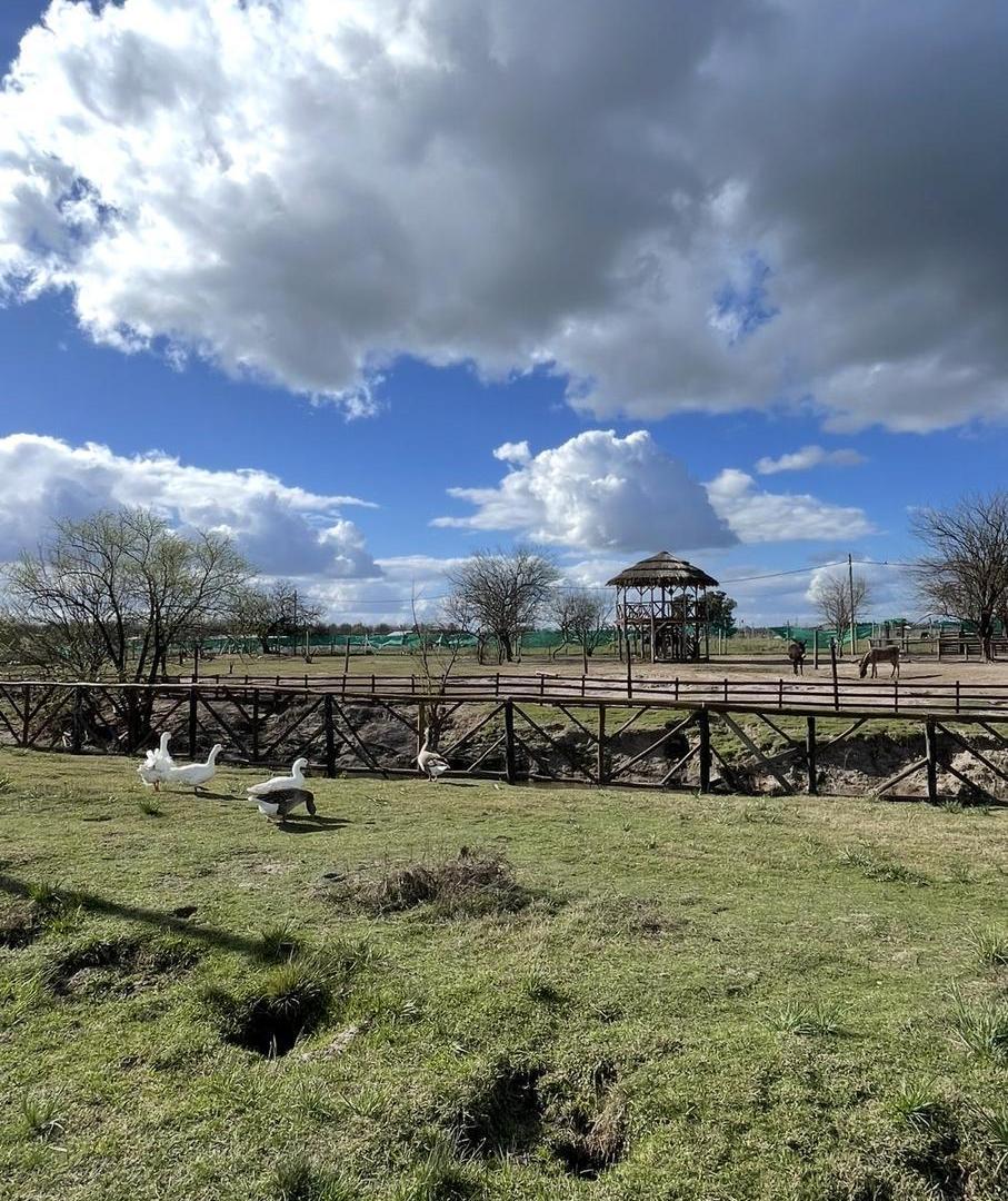 Foto de Terreno en General Rodriguez, imagen 4