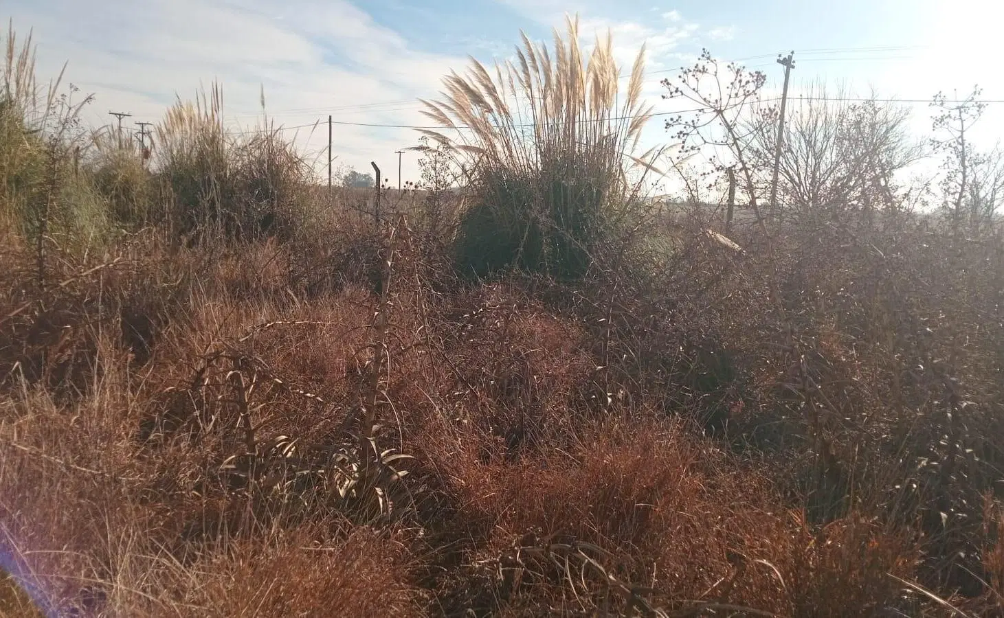 Terreno en Junin 5