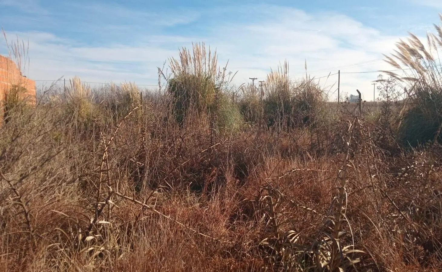 Terreno en Junin 1