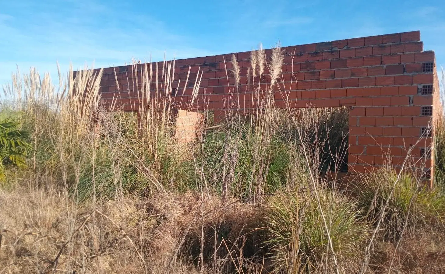 Terreno en Junin 2