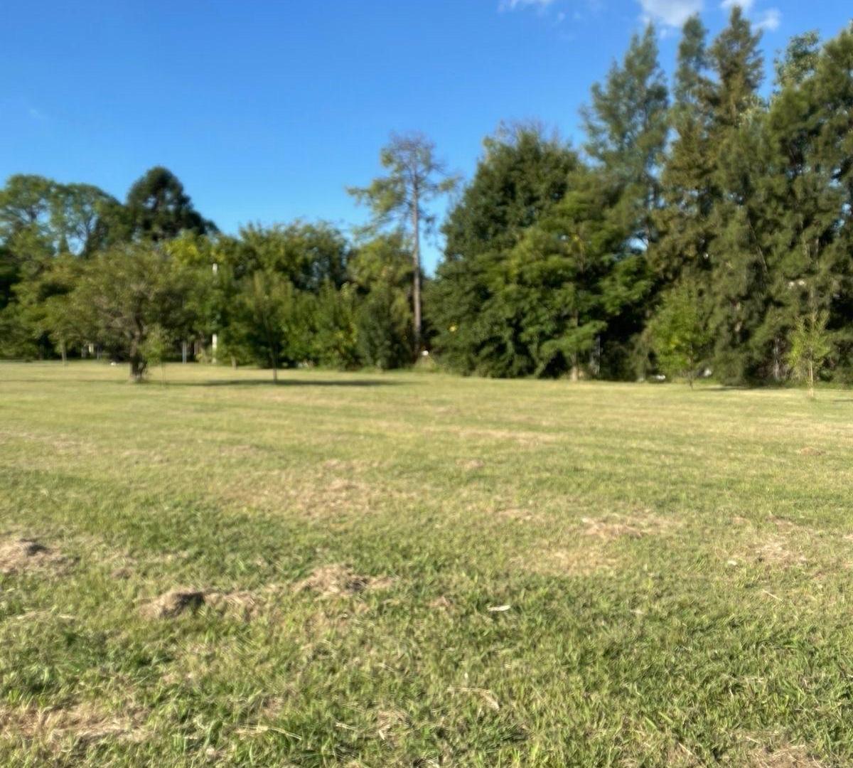 Foto de Terreno - Funes, imagen 3