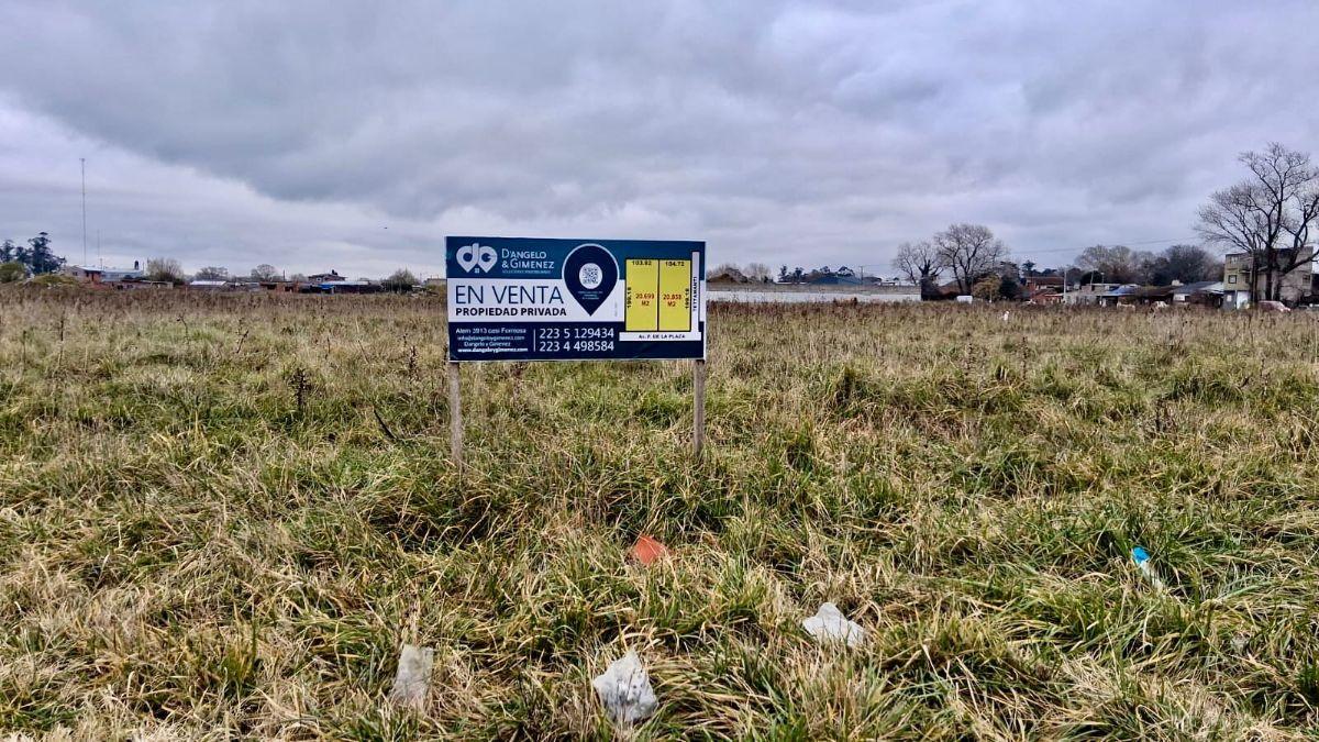 Foto de Venta de fracción de tierra para desarrollo, imagen 5