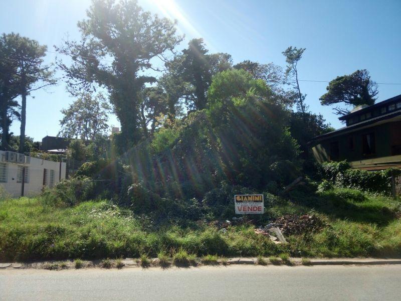 PROPIEDAD SUSPENDIDA  Lote . | Paseo 124 350