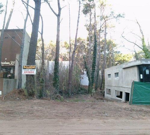 Lote. | Mar del Plata 4