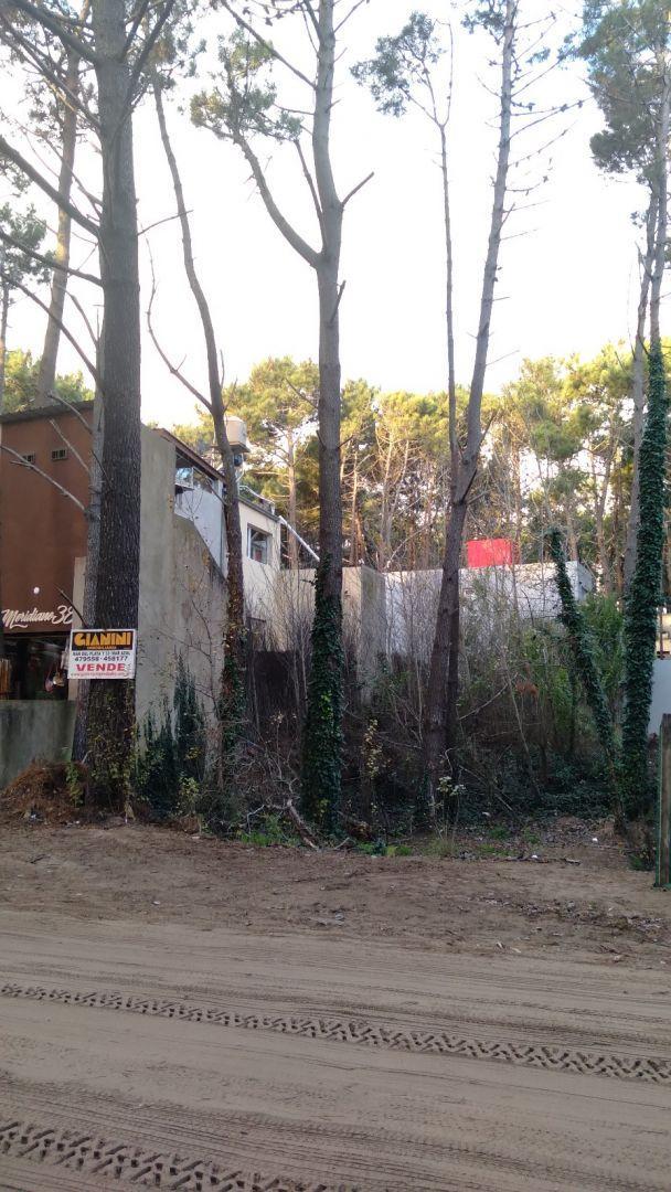 Lote. | Mar del Plata 5