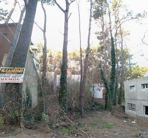 Lote. | Mar del Plata 1