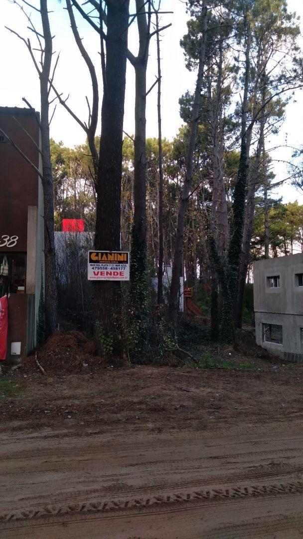 Lote. | Mar del Plata 3