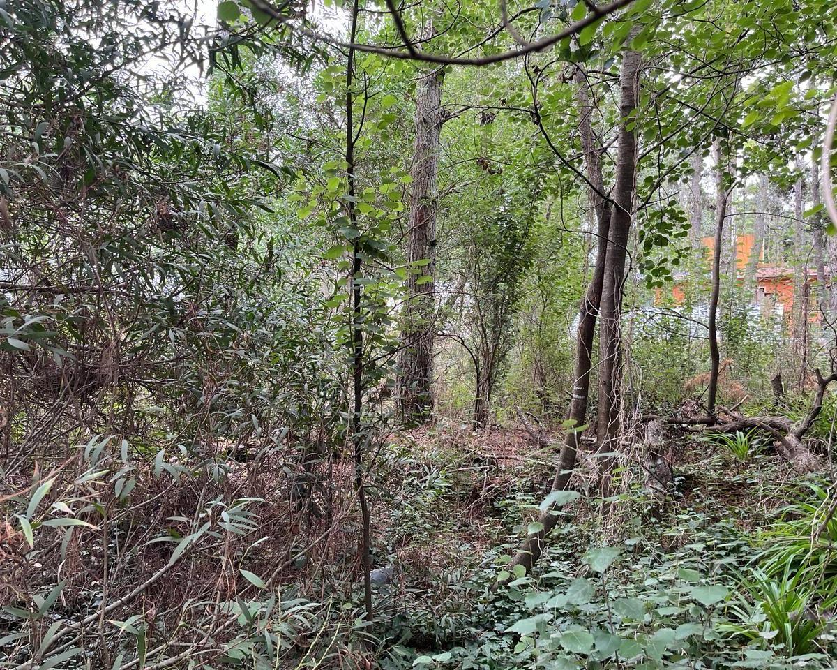 Lote | Punta del Indio 2