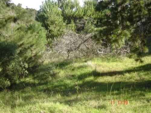 Lote. | Copacabana 2