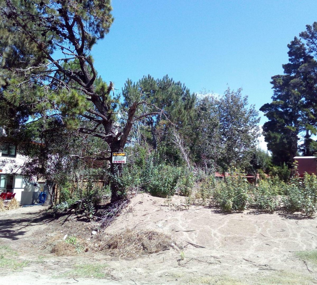 Lote. | Copacabana 1