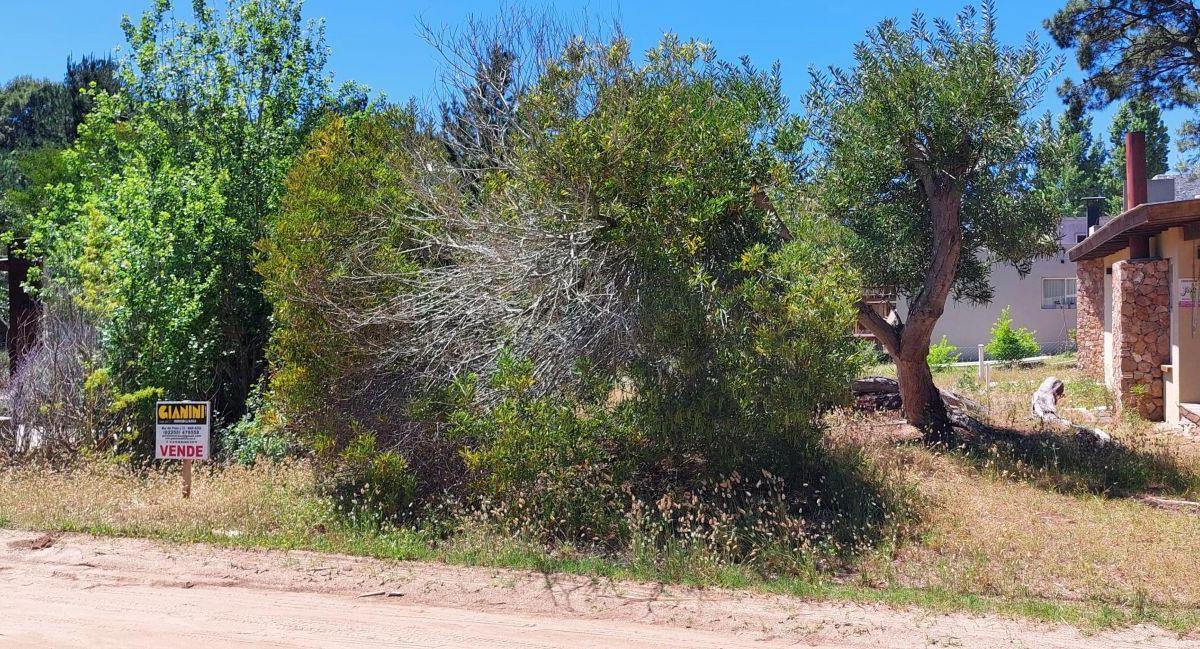 Lote | Necochea 4