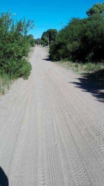 Lote . | 29