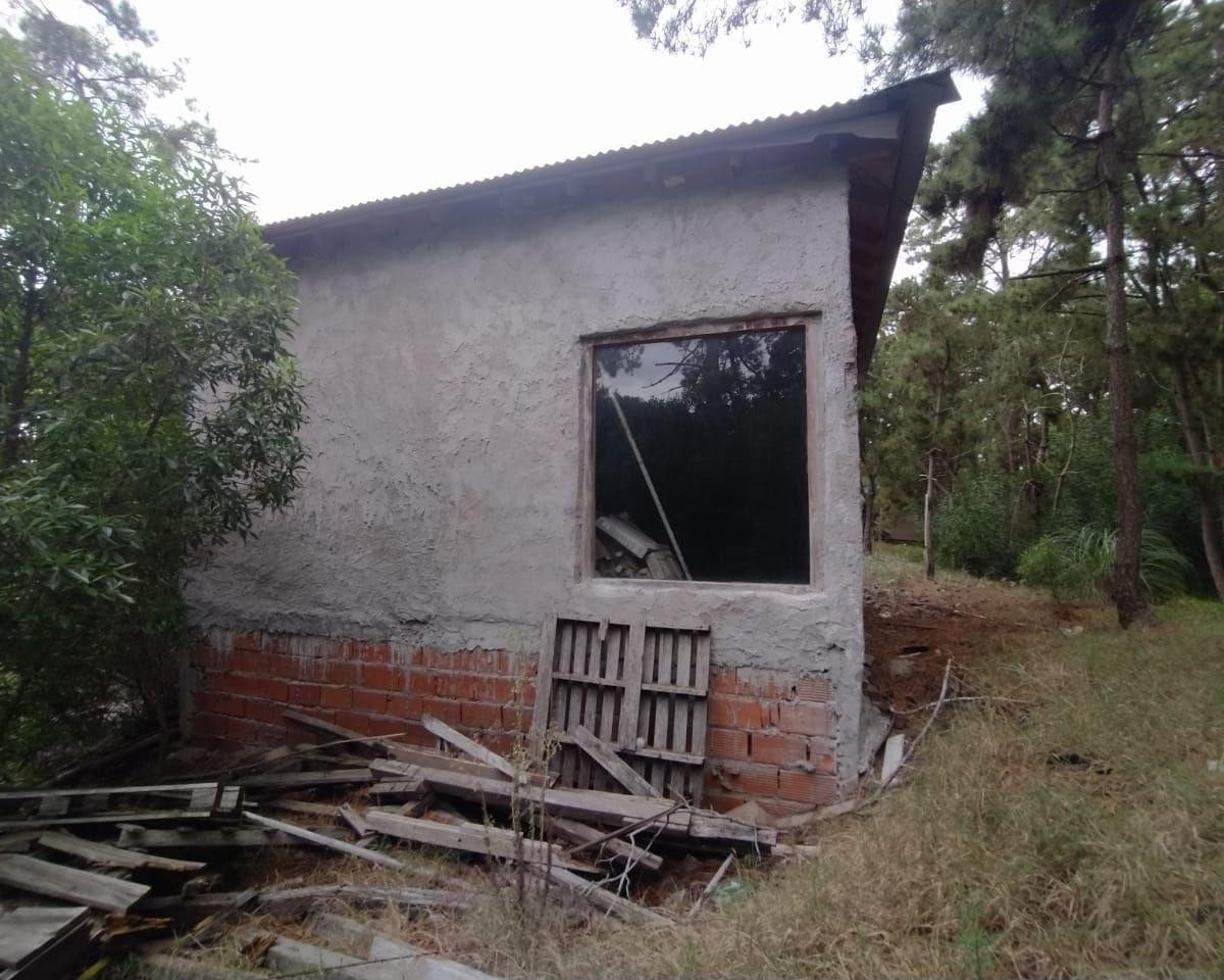 Lote. | Pedro Luro 2
