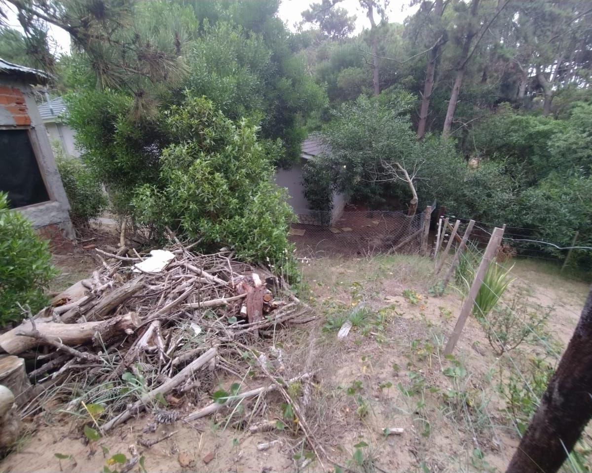 Lote. | Pedro Luro 4