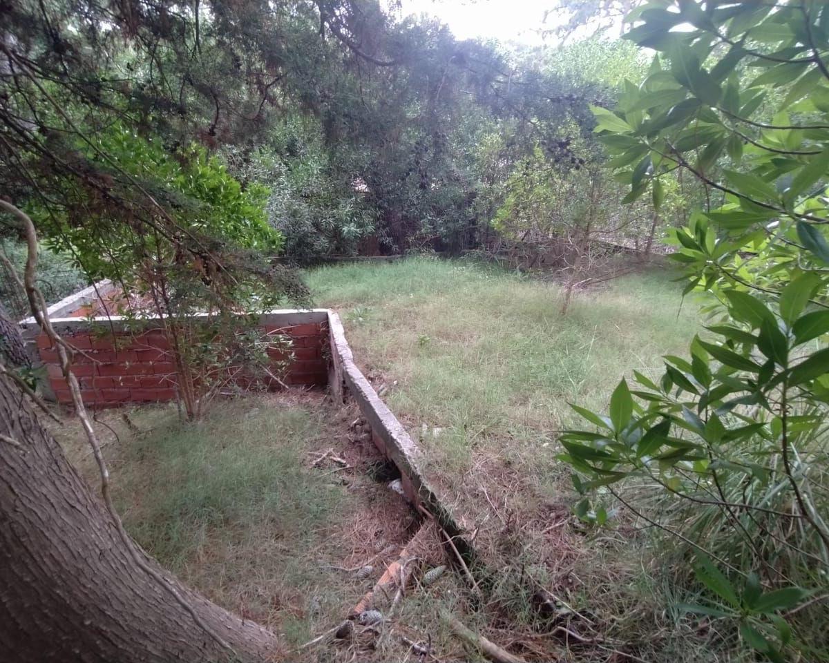 Lote. | Pedro Luro 3