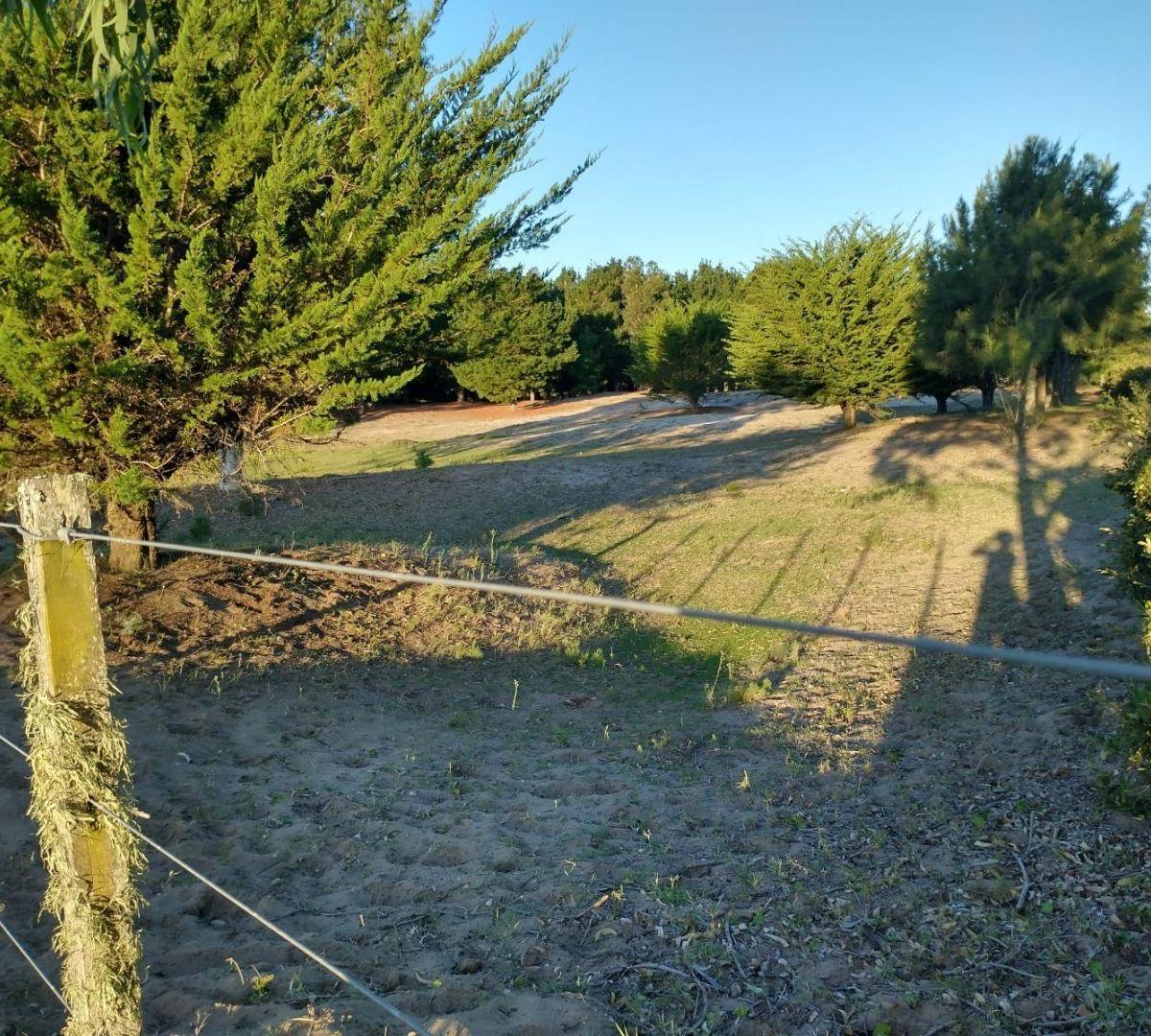Fracción de 22900 m² a 13 Cuadras del Mar (Ruta 11 Km 430) 2