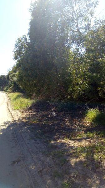 Lote. | 28 4